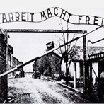 il cancello di auschwitz